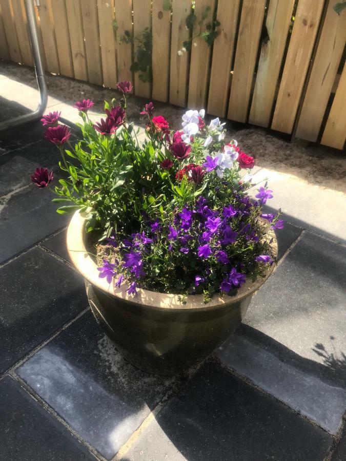 Sohuset Apartment Вибор Екстериор снимка